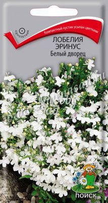 Цветы Лобелия Эринус Белый дворец (0,1 г) Поиск