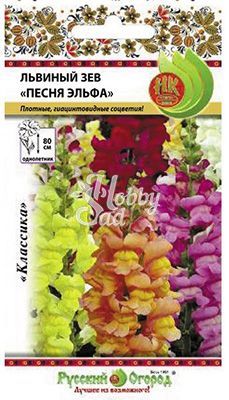 Цветы Львиный зев Песня Эльфа гиацинтоцветковый смесь (40 шт) Русский Огород
