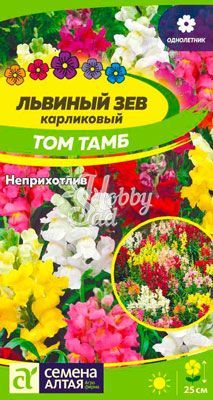 Цветы Львиный зев Том Тамб карликовый (0,1 г) Семена Алтая