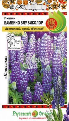 Цветы Люпин Бамбино Блу Биколор (6 шт) Русский Огород