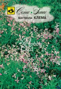 Цветы Маттиола Клема двурогая (0,5 г) Семко