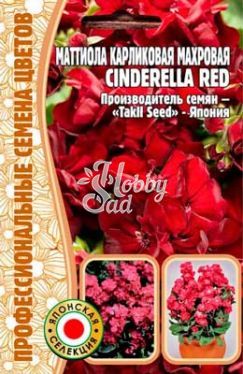 Цветы Маттиола Циндерелла Ред (Cinderella Red) карликовая махровая (5 шт) ЭКЗОТИКА