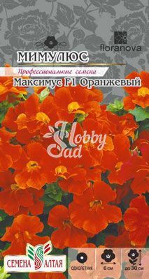 Цветы Мимулюс Максимус Оранжевый (10 шт) Семена Алтая