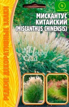 Цветы Мискантус китайский (Miscanthus sinensis) (0,01 гр) ЭКЗОТИКА