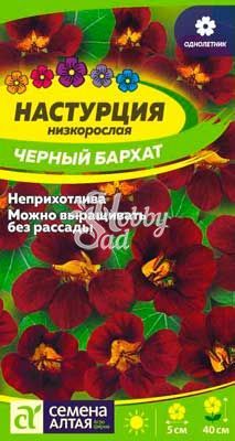 Цветы Настурция Черный Бархат низкорослая (0,5 г) Семена Алтая серия 