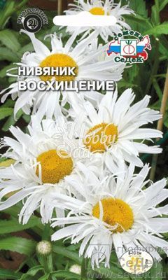 Цветы Нивяник (хризантема) Восхищение (0,1 г) Седек