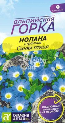 Цветы Нолана странная Синяя Птица (0,3 г) Семена Алтая серия Альпийская Горка