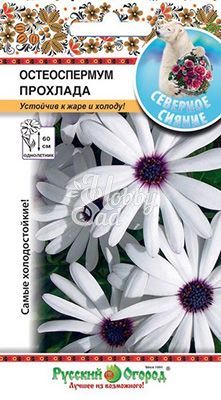 Цветы Остеоспермум Прохлада (15 шт) серия Северное сияние Русский Огород