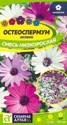 Цветы Остеоспермум Смесь низкорослая (0,1 гр) Семена Алтая