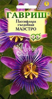 Цветы Пассифлора съедобная Маэстро (5 шт) Гавриш 