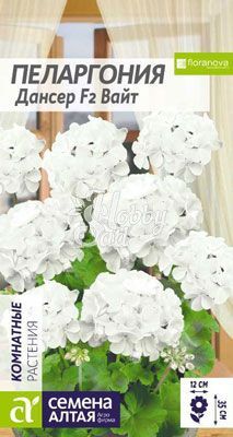 Цветы Пеларгония Дансер Вайт зональная (4 шт) Семена Алтая Комнатные