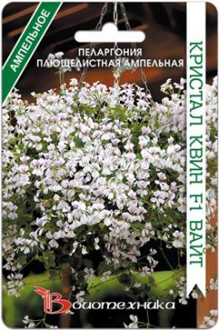 Цветы Пеларгония плющелистная ампельная Кристал Квин F1 Вайт (5 шт) Биотехника