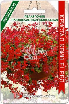 Цветы Пеларгония плющелистная ампельная Кристал Квин F1 Ред (5 шт) Биотехника