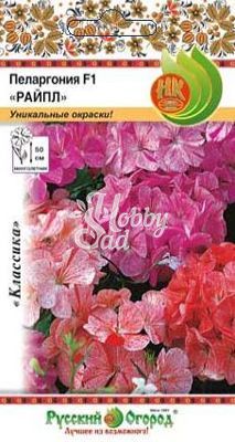 Цветы Пеларгония Райпл F1 (5 шт) Русский Огород 