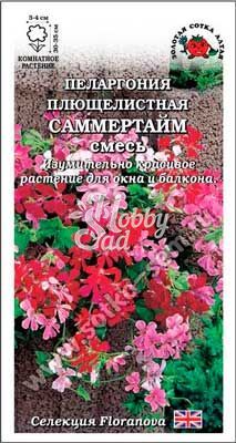 Цветы Пеларгония Саммертайм плющелистная (3 шт) смесь Сотка