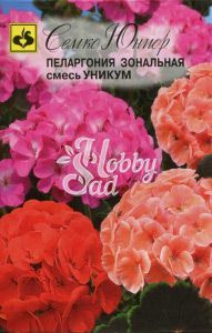Цветы Пеларгония Уникум смесь (6 шт) Семко