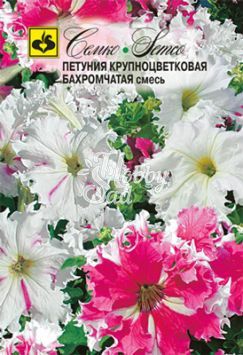 Цветы Петуния Бахромчатая крупноцветковая смесь (10 шт) Семко
