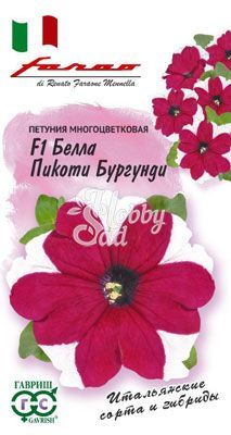 Цветы Петуния Белла Пикоти Бургунди F1 многоцветковая (10 шт) Гавриш
