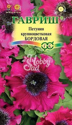 Цветы Петуния Бордовая бахромчатая (10 шт) Гавриш