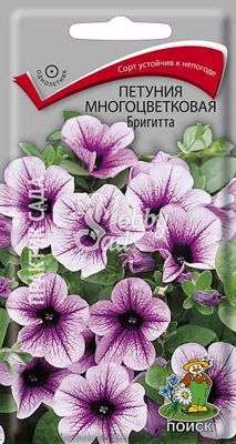 Цветы Петуния Бригитта F1 многоцветковая (20 шт) Поиск