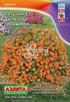Цветы Петуния Джоконда F1 оранжевая стелющая каскадная (драже 7 шт) Аэлита