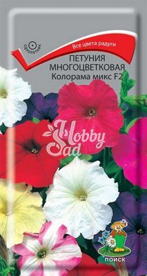 Цветы Петуния Колорама микс F2 многоцветковая (0,1 г) Поиск