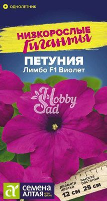 Цветы Петуния Лимбо F1 Виолет (10 шт) Семена Алтая Низкорослые гиганты