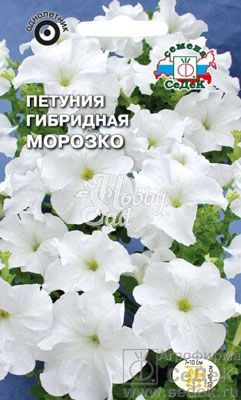 Цветы Петуния Морозко F1 крупноцветковая (10 шт) Седек