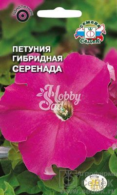 Цветы Петуния Серенада F1 крупноцветковая (10 шт) Седек
