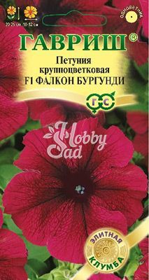 Цветы Петуния Фалкон Бургунди F1 крупноцветковая (5 шт) Гавриш Саката серия Элитная клумба