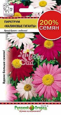 Цветы Пиретрум Малиновые гиганты (0,4 г) Русский Огород серия 200%
