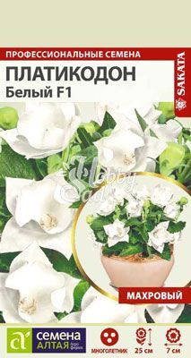 Цветы Платикодон Белый Махровый (5 шт) Семена Алтая