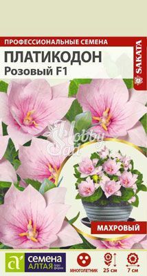 Цветы Платикодон Розовый Махровый (5 шт) Семена Алтая