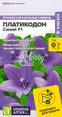 Цветы Платикодон Синий (5 шт) Семена Алтая