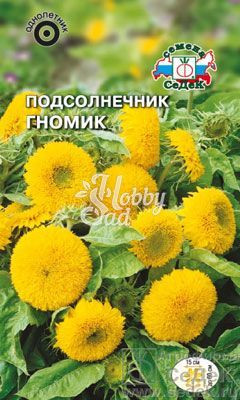 Цветы Подсолнечник Гномик (масличный, карликовый, золотисто-желтый) (0,4 г) Седек