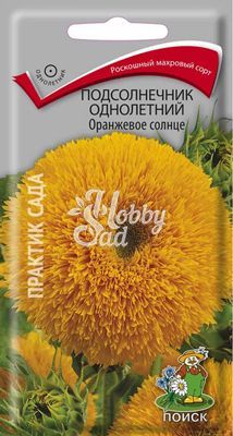 Цветы Подсолнечник Оранжевое солнце декоративный (0,5 г) Поиск