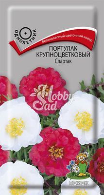 Цветы Портулак Спартак крупноцветковый (0,1 г) Поиск