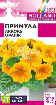 Цветы Примула Аккорд Оранж (5 шт) Семена Алтая