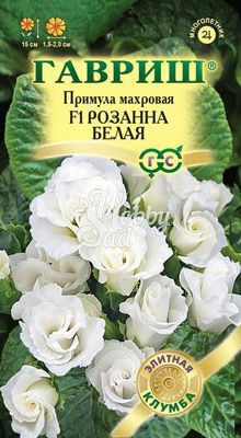 Цветы Примула Розанна белая F1 махровая (5 шт) Гавриш Саката серия Эксклюзив