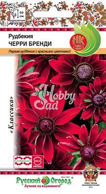 Цветы Рудбекия Черри Бренди (30 шт) Русский Огород