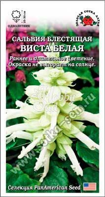 Цветы Сальвия Виста Белая (10 шт) Сотка