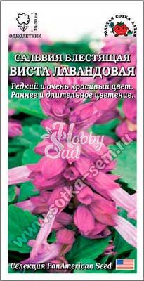 Цветы Сальвия Виста Лавандовая (10 шт) Сотка