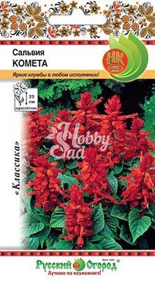 Цветы Сальвия Комета (0,1 г) Русский Огород