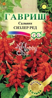 Цветы Сальвия Сизлер Ред (5 шт) Гавриш серия Элитная клумба