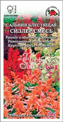 Цветы Сальвия Сизлер Смесь (10 шт) Сотка