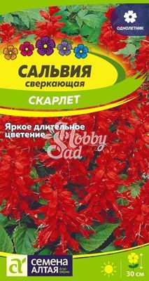 Цветы Сальвия Скарлет сверкающая (0,1 г) Семена Алтая