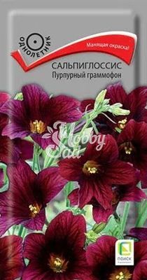 Цветы Сальпиглосис Пурпурный граммофон выемчатый (0,01 г) Поиск