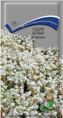 Цветы Седум (Очиток) ложный Белый мох (0,01 г) Поиск