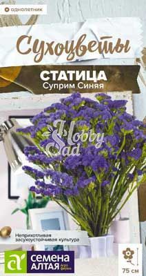Цветы Статица Суприм Синяя (0,1 г) Семена Алтая Сухоцветы