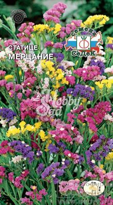 Цветы Статице Мерцание ( смесь) (0,2 г) Седек